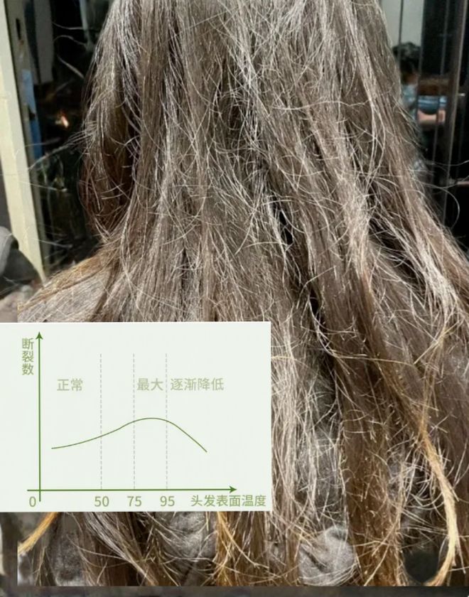 千的吹风机就不配有一头秀发了？冰球突破豪华版app用不起好几(图16)