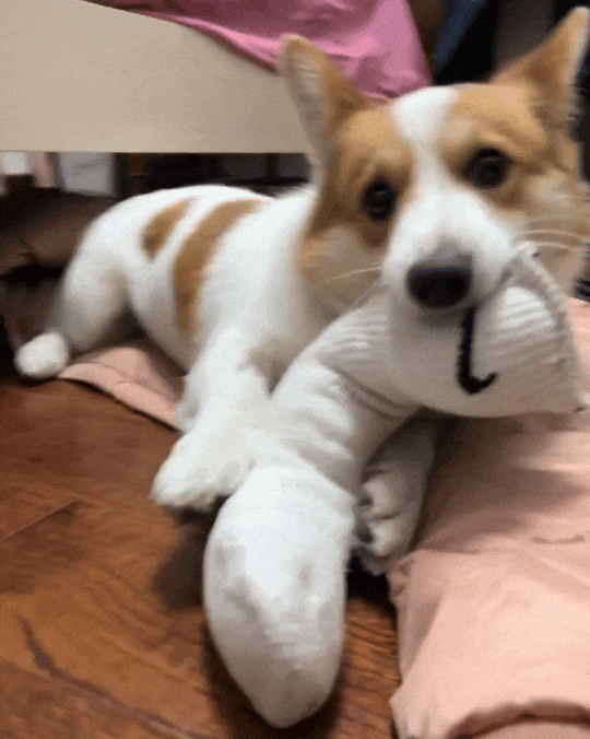 起来了！几千欧的东西说用就用冰球突破豪华版手机版也是好(图15)